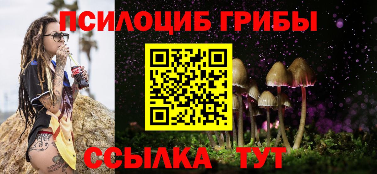 Псилоцибиновые грибы Magic Shrooms  Вход с VPN  Зеленогорск  Псилоцибиновые грибы MAGIC MUSHROOMS 